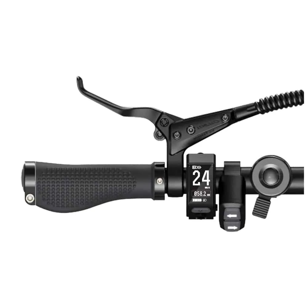 ENGWE P20 - Vélo pliant électrique - Noir