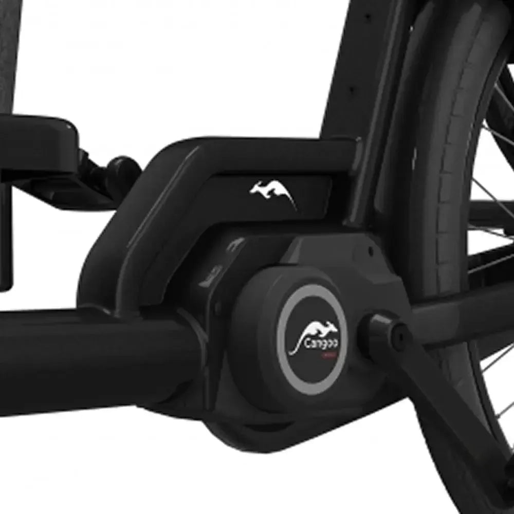 Cangoo Buckle Up - Noir