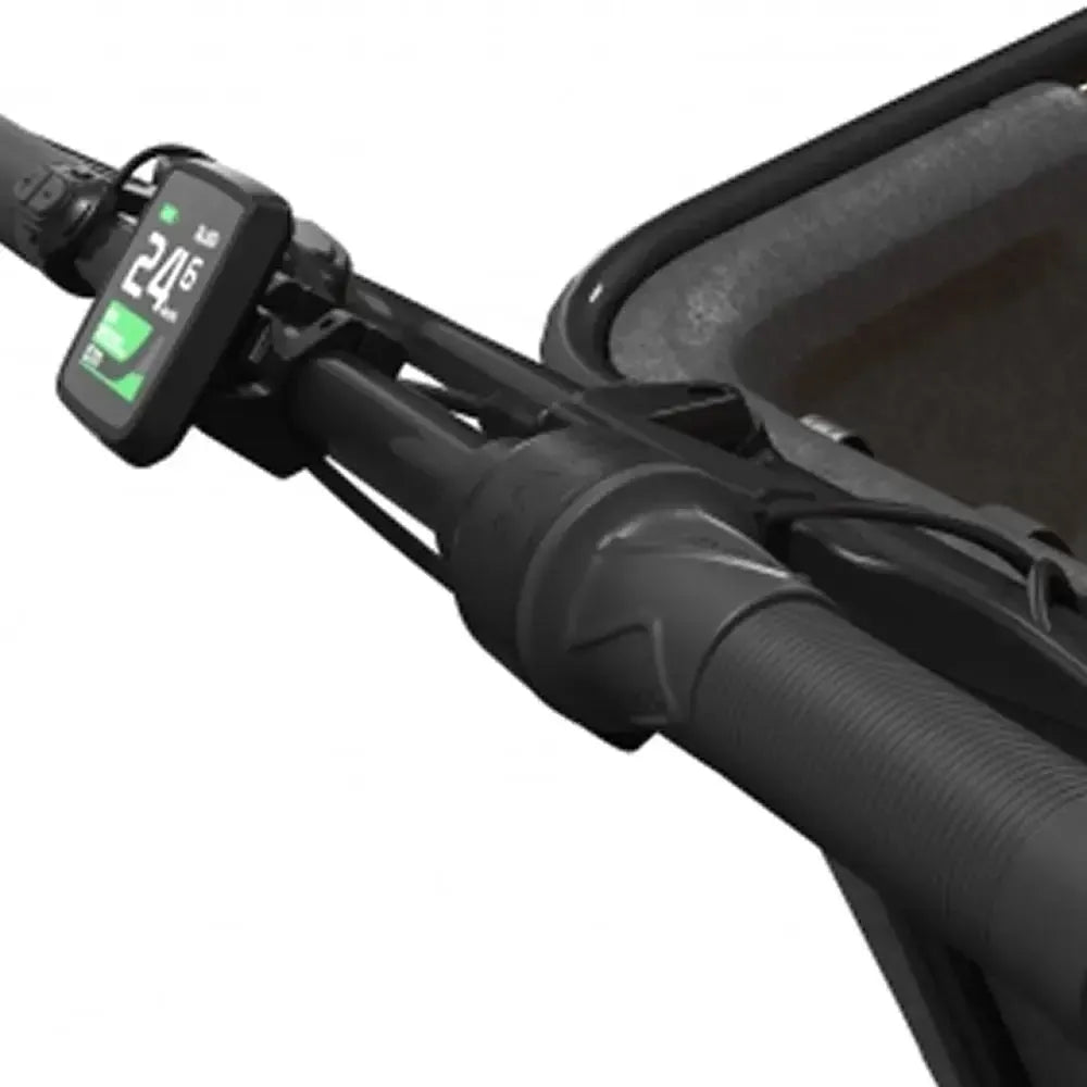 Cangoo Buckle Up - Noir
