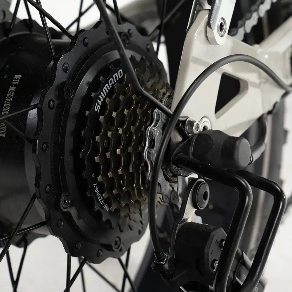 Diablo Zipper Fatbike - Gris