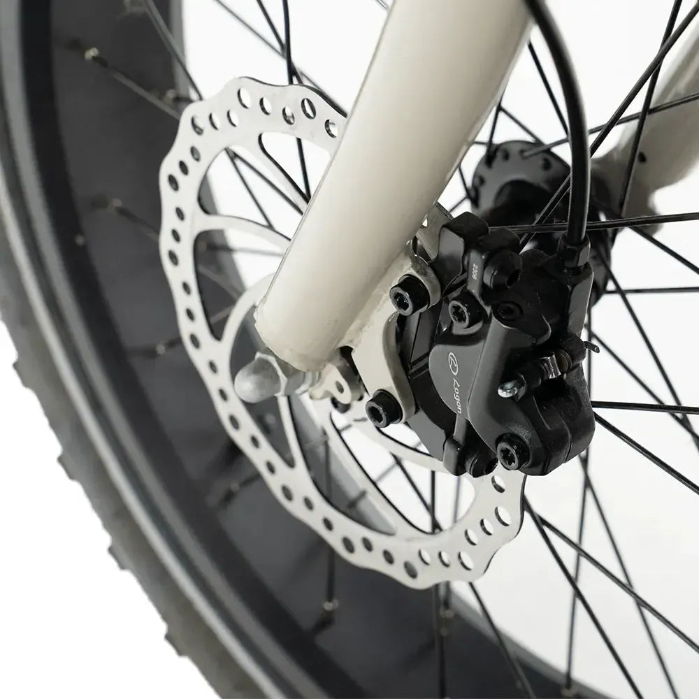 Diablo Zipper Fatbike - Gris