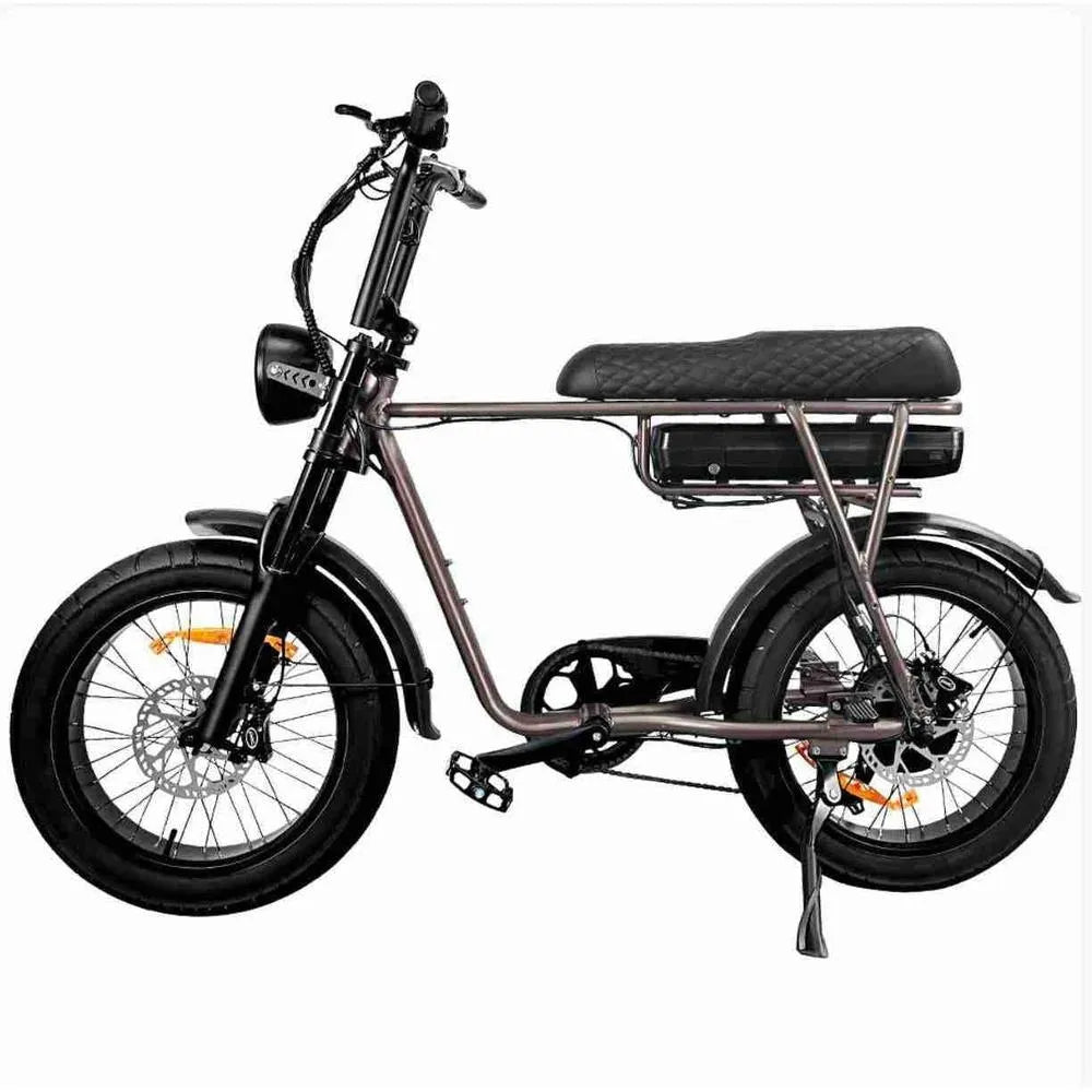 EB2 – Fatbike – Café