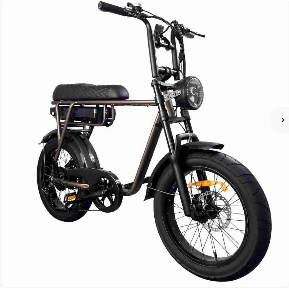 EB2 – Fatbike – Café