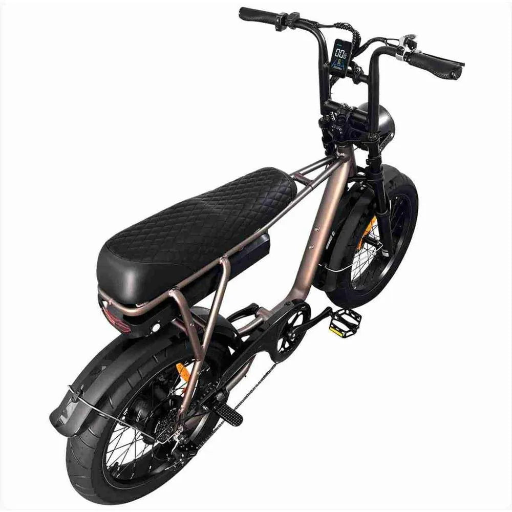 EB2 – Fatbike – Café