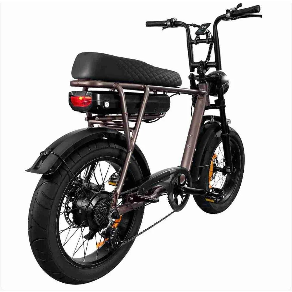 EB2 – Fatbike – Café