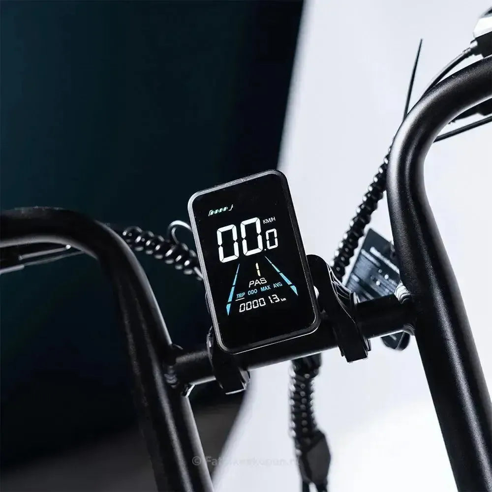 EB2 Fatbike Argent + Alarme + Repose-pieds