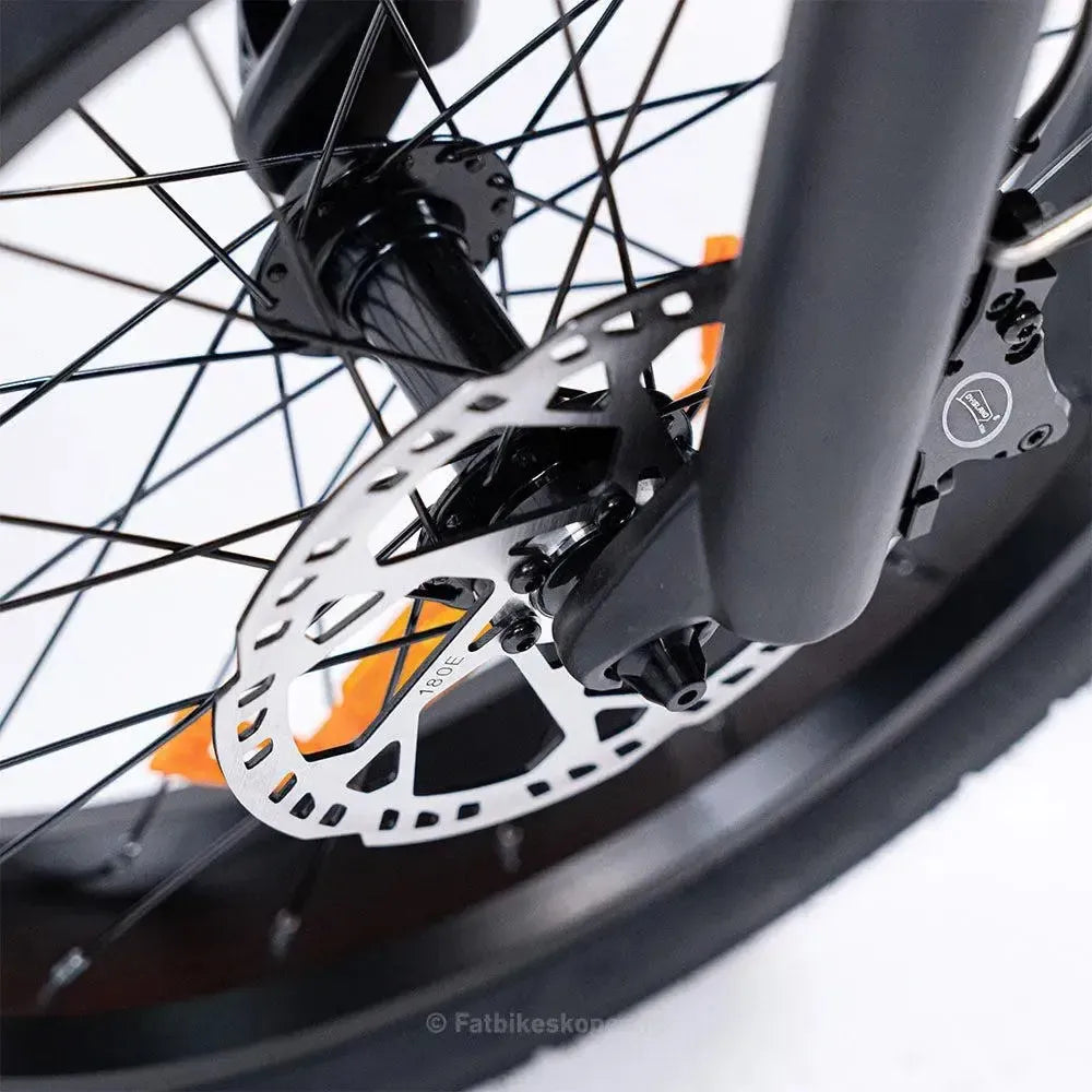 EB8 - Fatbike - Gris