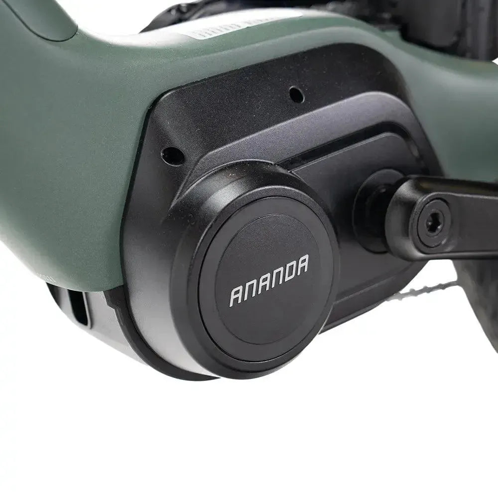 ENGWE Mapfour N1 Pro - Vert