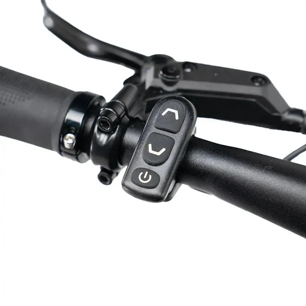 ENGWE Mapfour N1 Pro - Vert