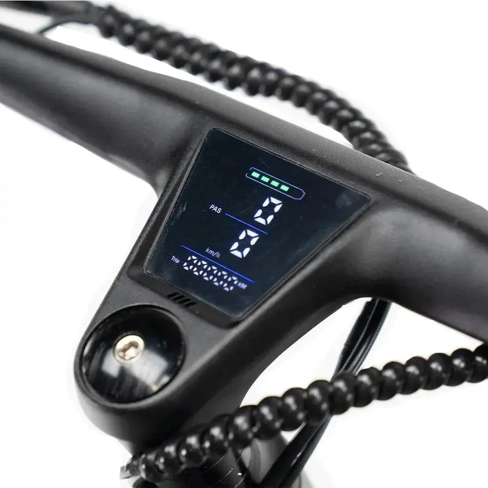 ENGWE Mapfour N1 Pro - Vert