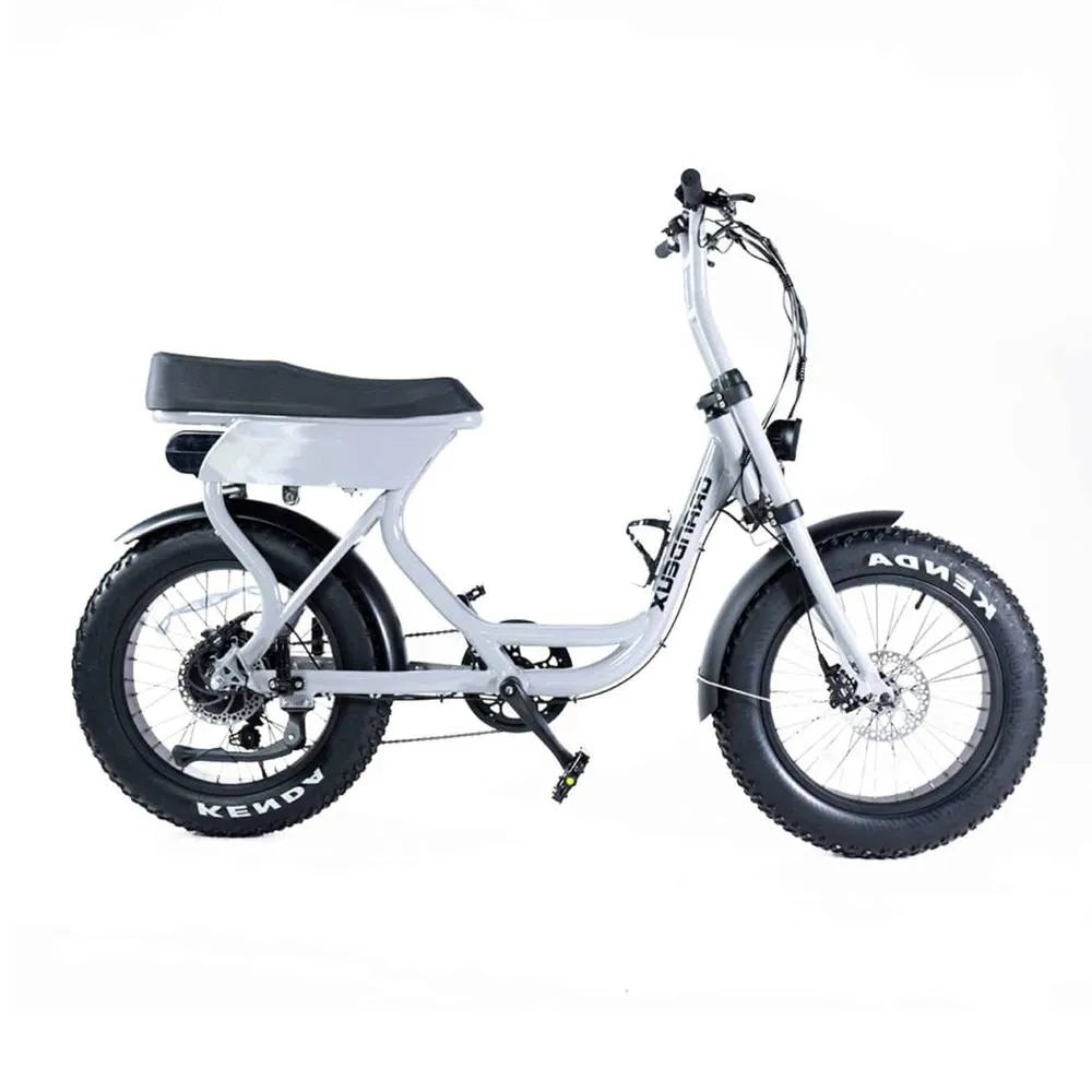 Grandeux - Fatbike - Xcite - Gris