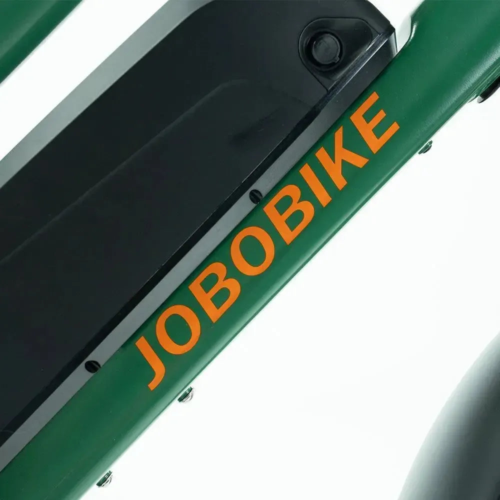 JOBOBIKE Transer - Longtail - Vert