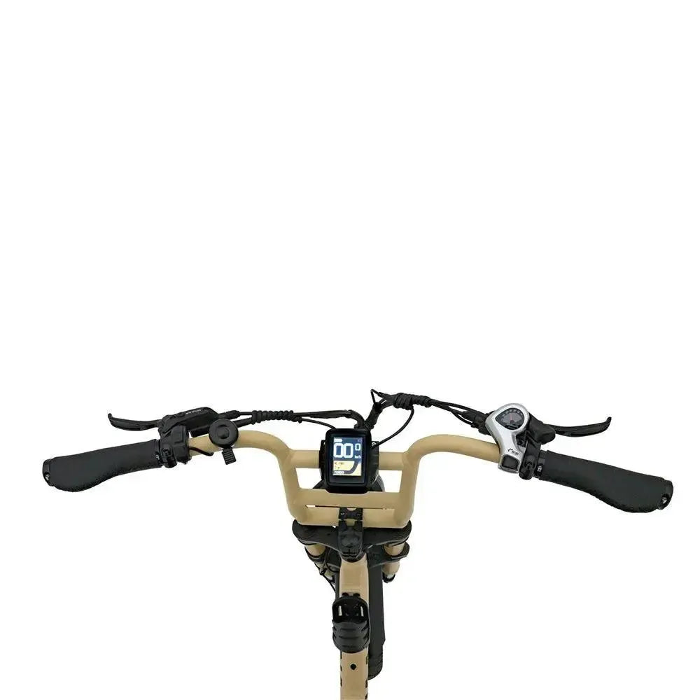 Knaap - Fatbike - LON - Sable