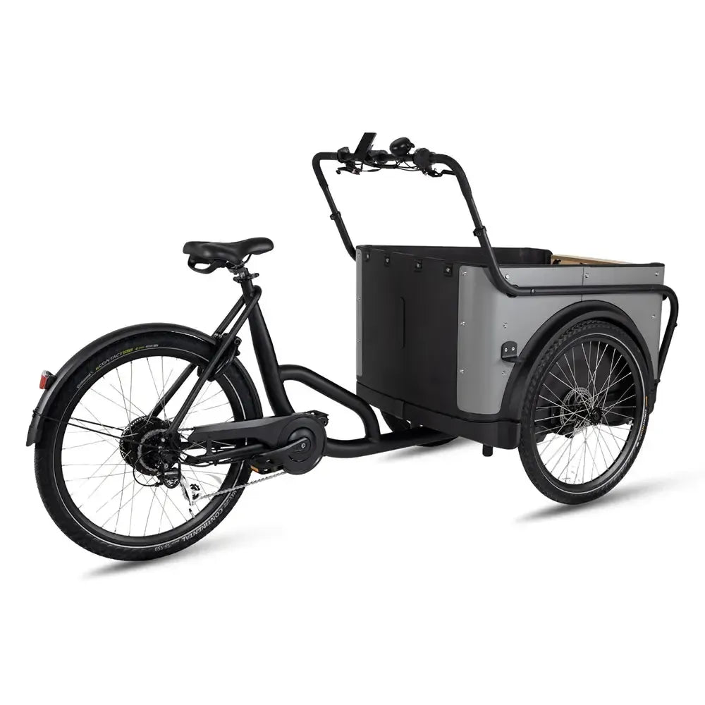 Royal Cargo Bike 3W Eco - Gris