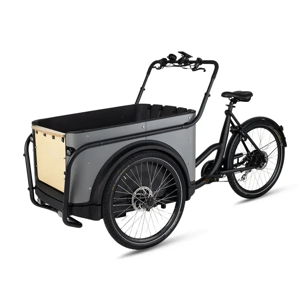 Royal Cargo Bike 3W Eco - Gris