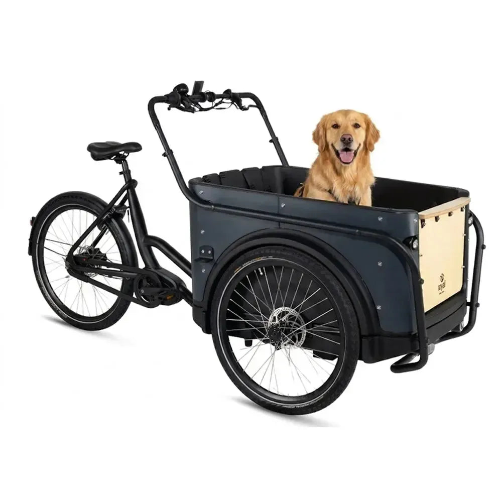 Royal Cargo Bike 3W Premium - Anthracite