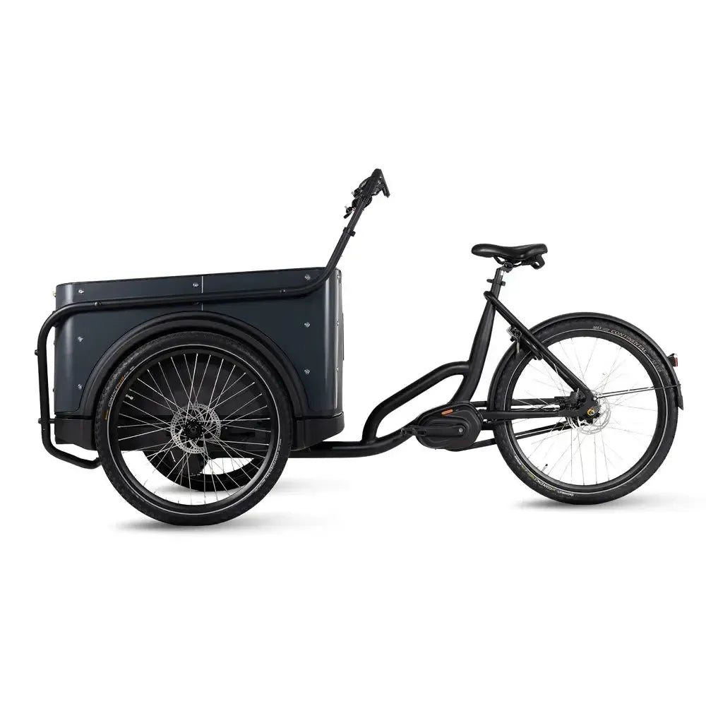 Royal Cargo Bike 3W Premium - Anthracite