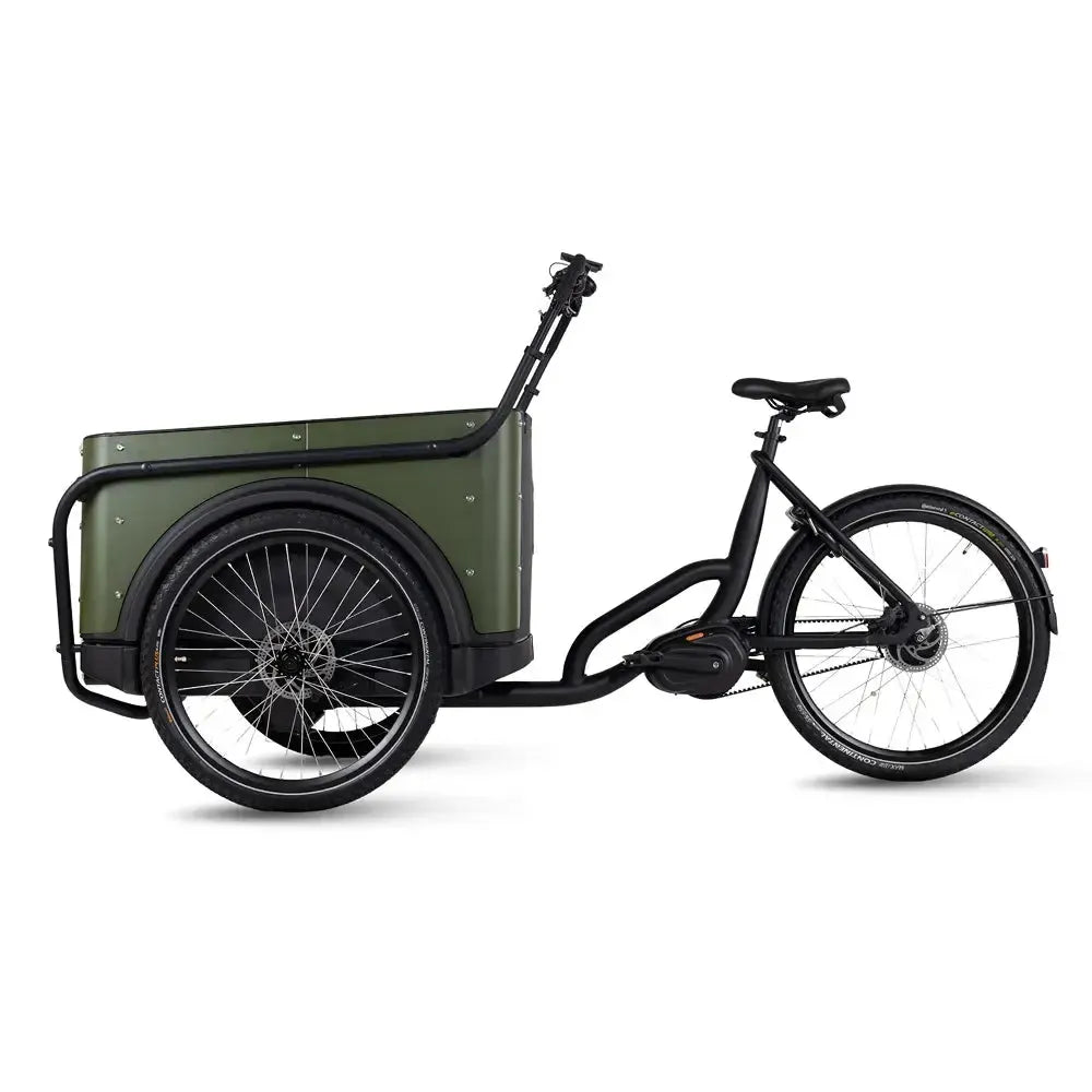Royal Cargo Bike 3W Premium Plus - Vert