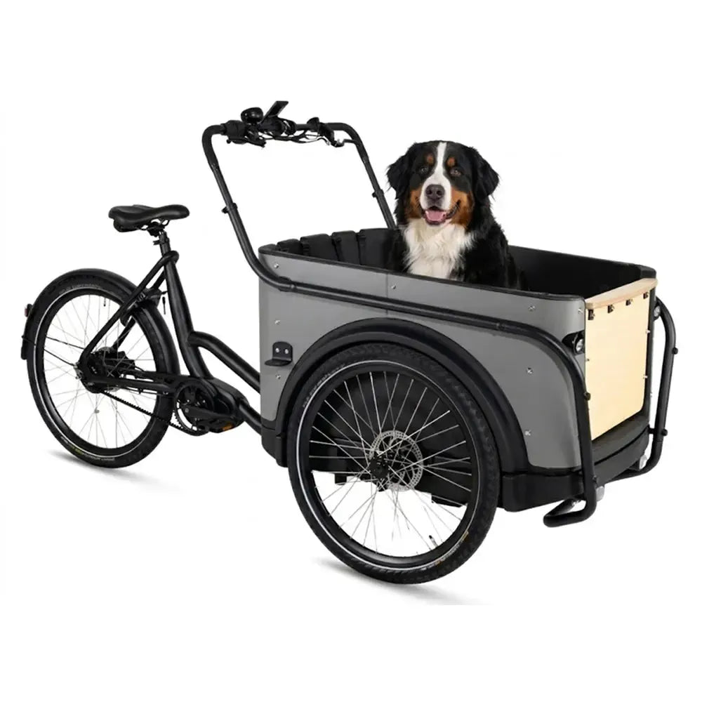 Royal Cargo Bike 3W Premium Plus - Taupe gris
