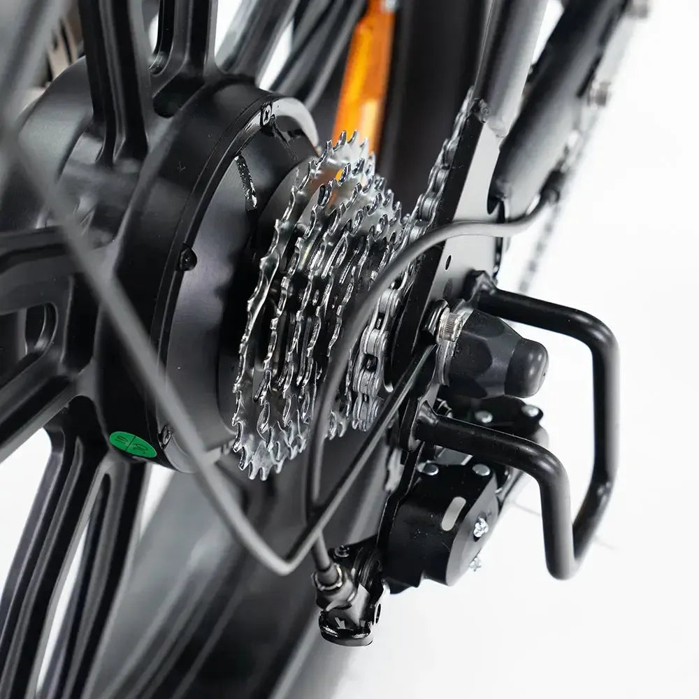 V20 Pro 5.0 Gris - Fatbike - Freins hydrauliques
