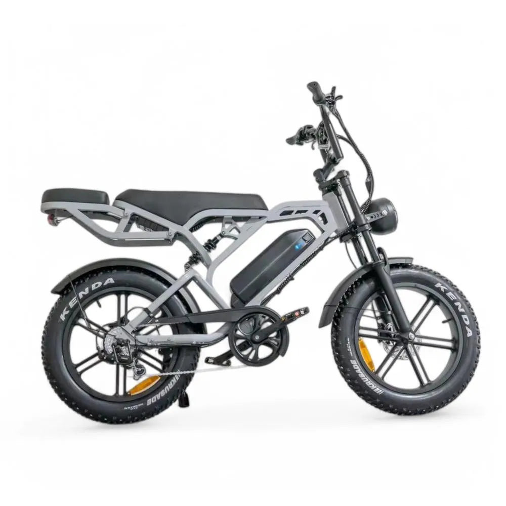 V20 Pro 5.0 Gris - Fatbike - Freins hydrauliques