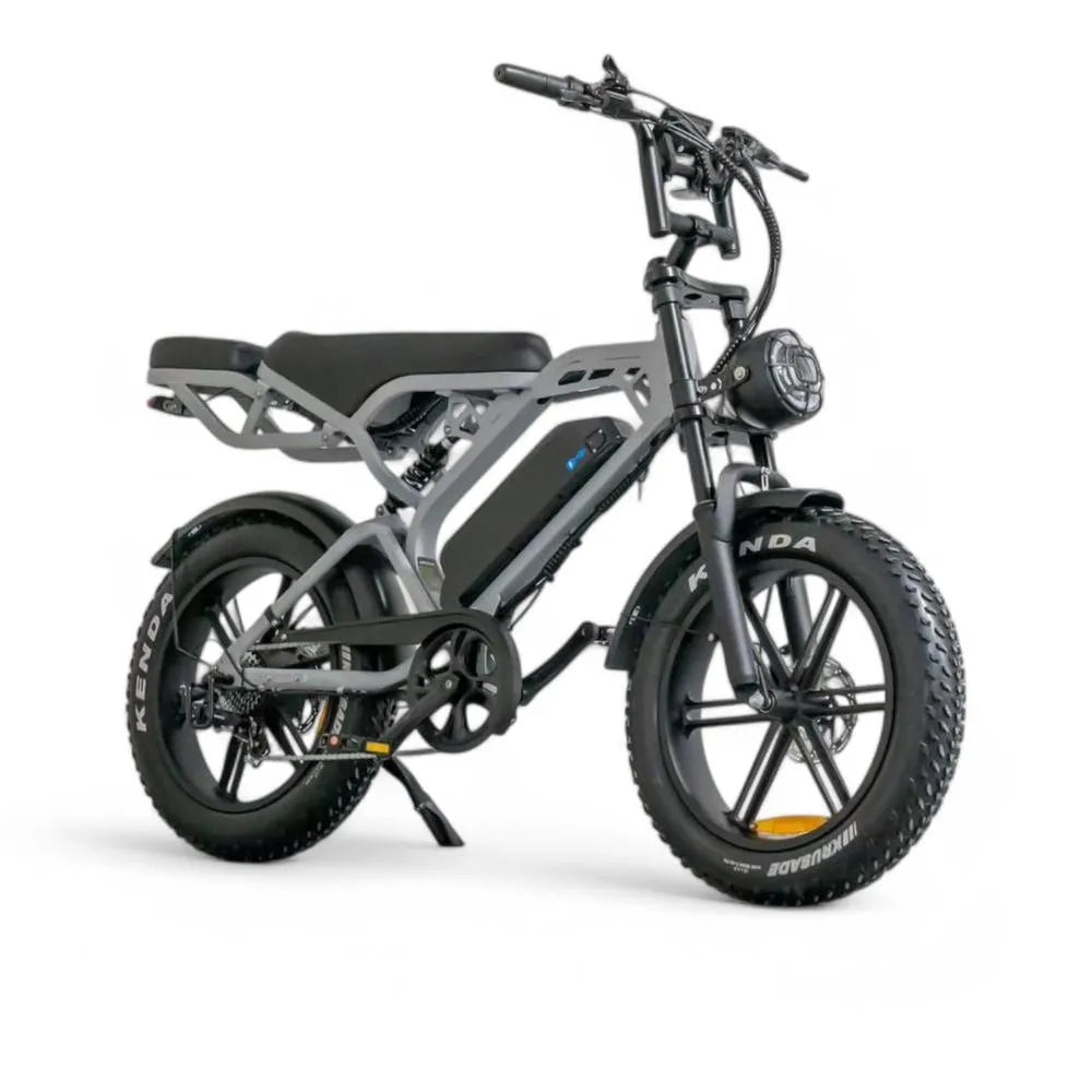 V20 Pro 5.0 Gris - Fatbike - Freins hydrauliques