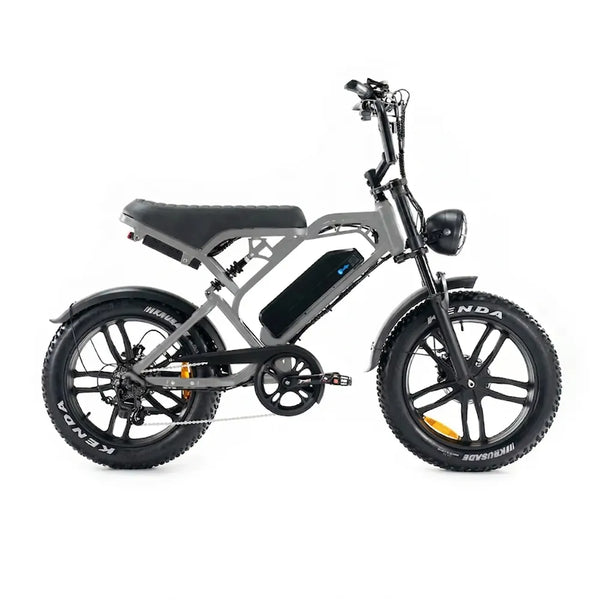 V20 Pro 5.0 Gris - Fatbike - Freins hydrauliques