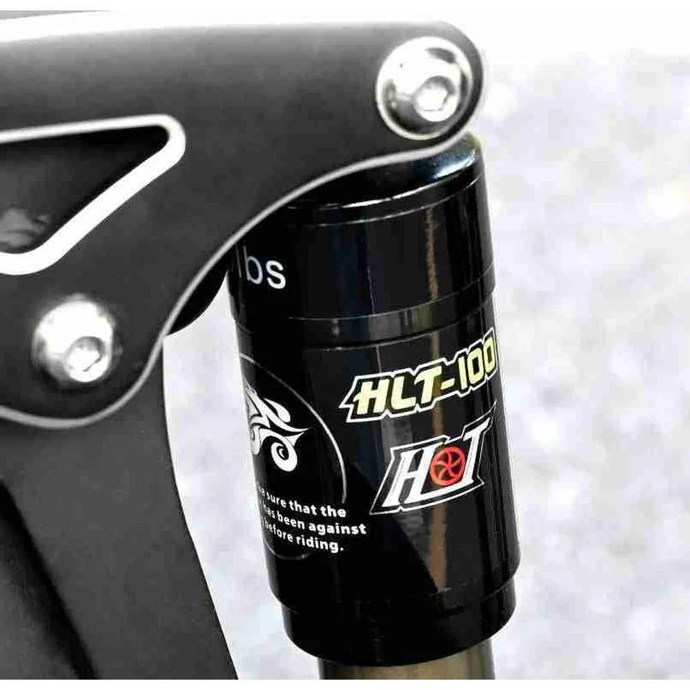 Engwe Engine X - Vélo pliant électrique - Noir