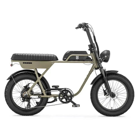 AGM GT250 - Vert