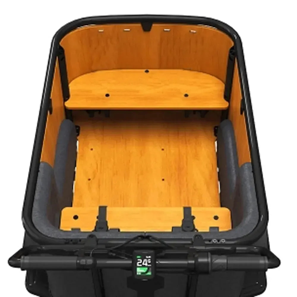 Cangoo Buckle Up - Noir