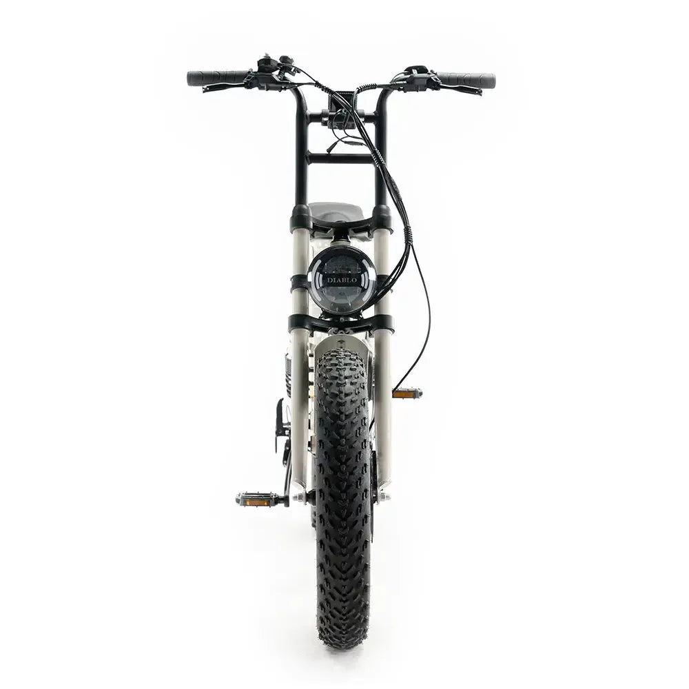 Diablo Zipper Fatbike - Gris