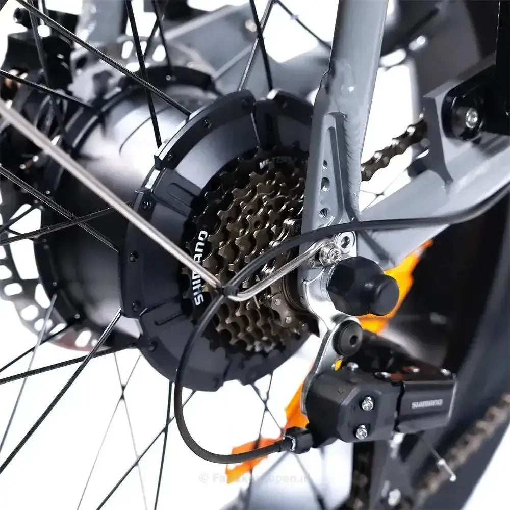 EB2 Fatbike Argent + Alarme + Repose-pieds