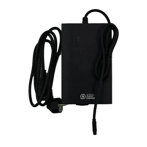 ENGWE LE20 - Chargeur rapide 8A