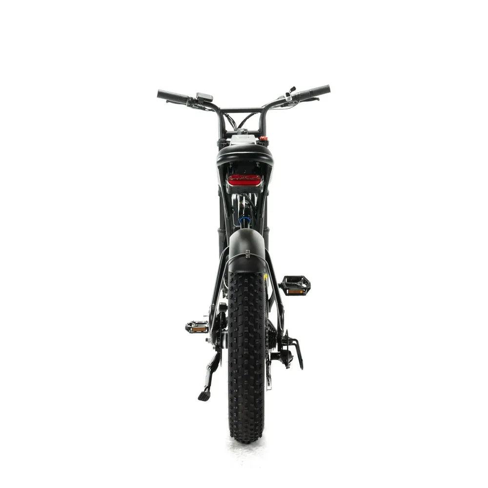 ENGWE M20 - Double batterie - Noir