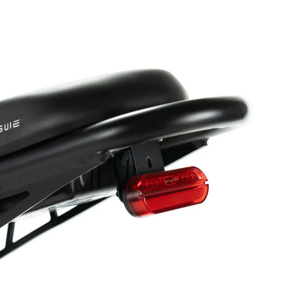 ENGWE M20 - Double batterie - Noir
