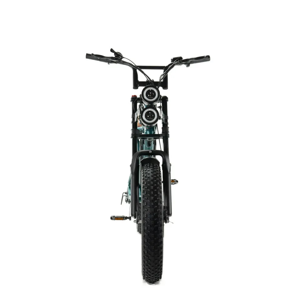 ENGWE M20 - Fatbike - Double batterie - Vert