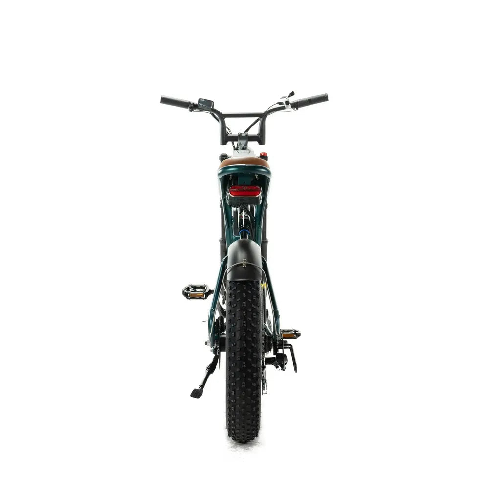 ENGWE M20 - Fatbike - Double batterie - Vert