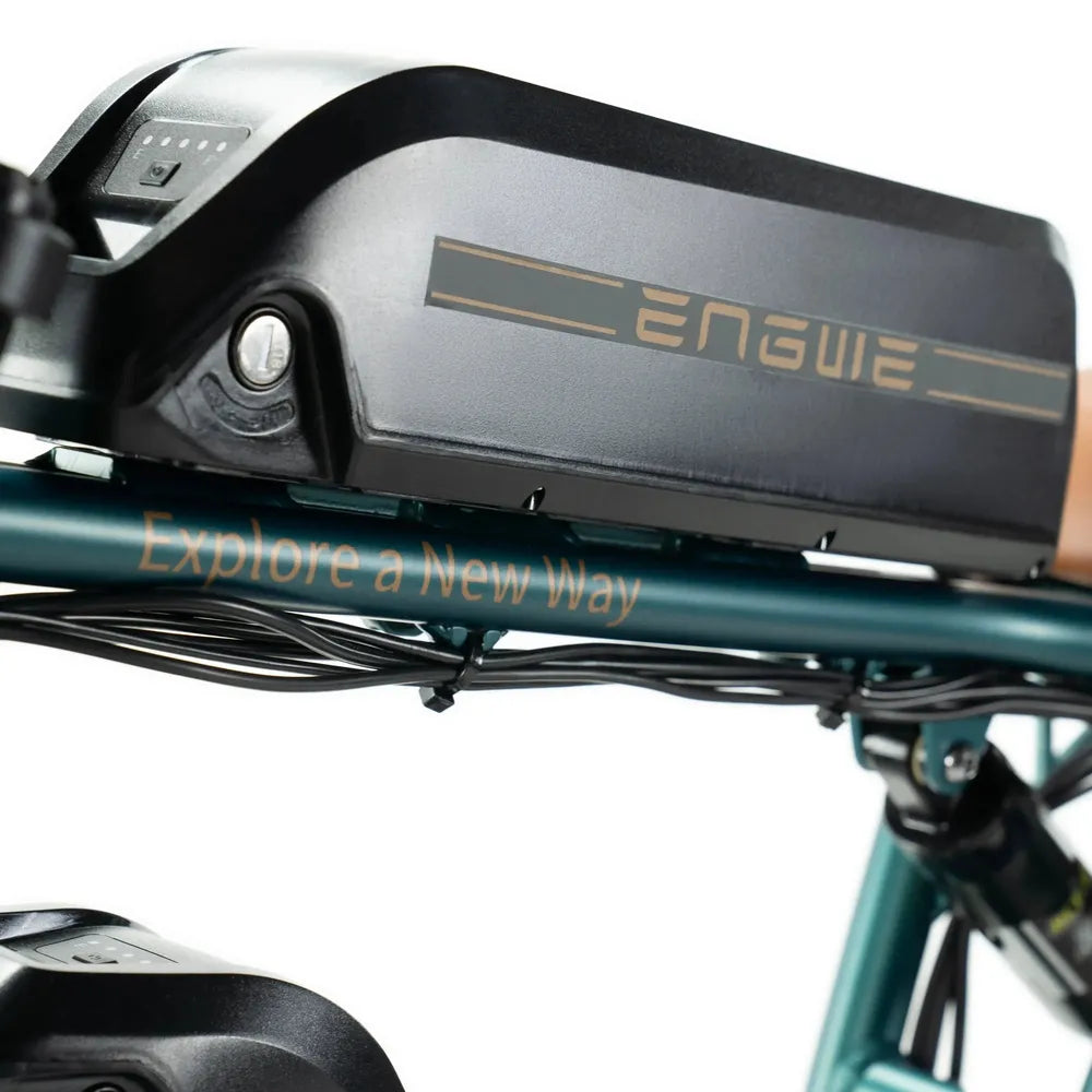 ENGWE M20 - Fatbike - Double batterie - Vert