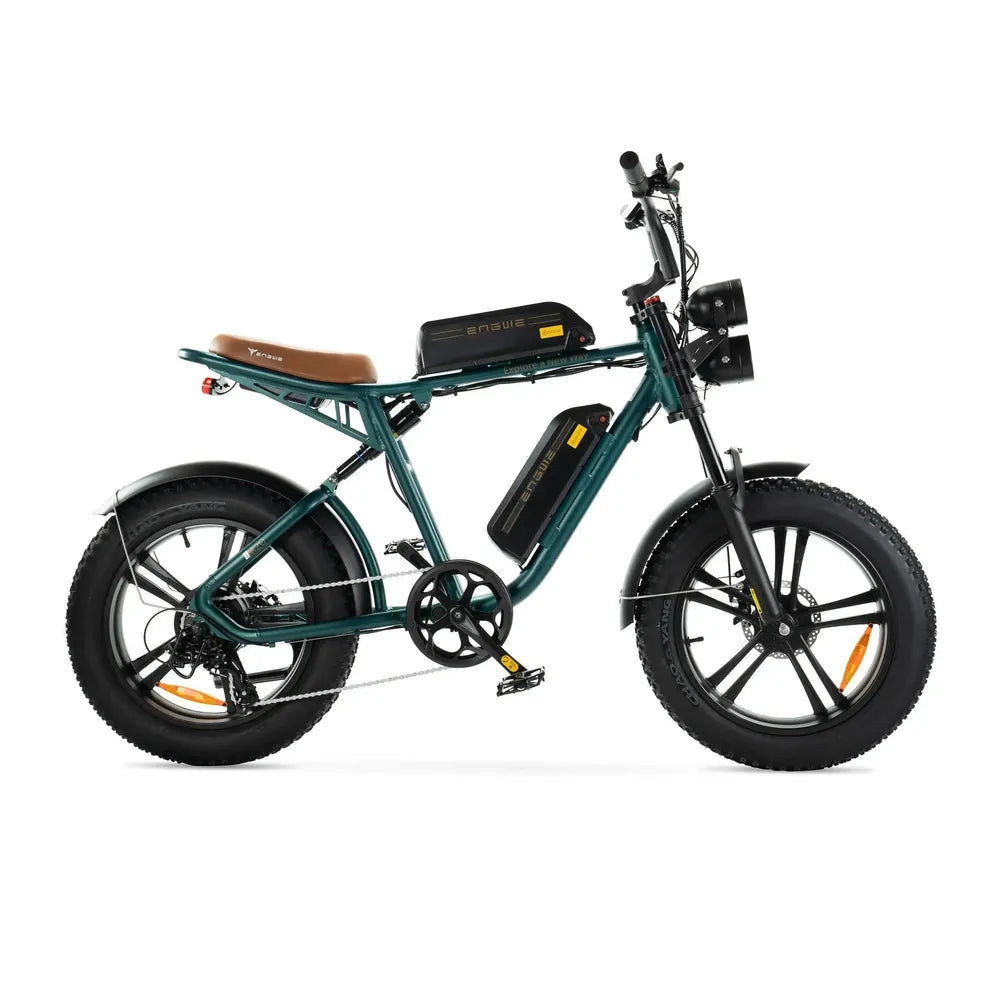 ENGWE M20 - Fatbike - Double batterie - Vert