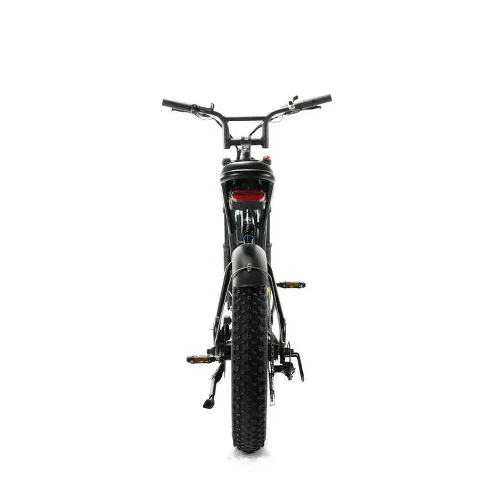 ENGWE M20 - Fatbike - Noir + Système d'alarme + Support téléphone
