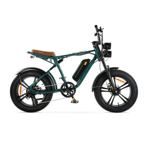 ENGWE M20 - Vert