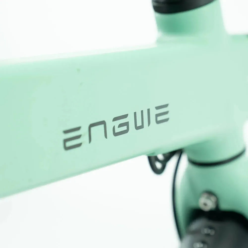 ENGWE P20 - Vert