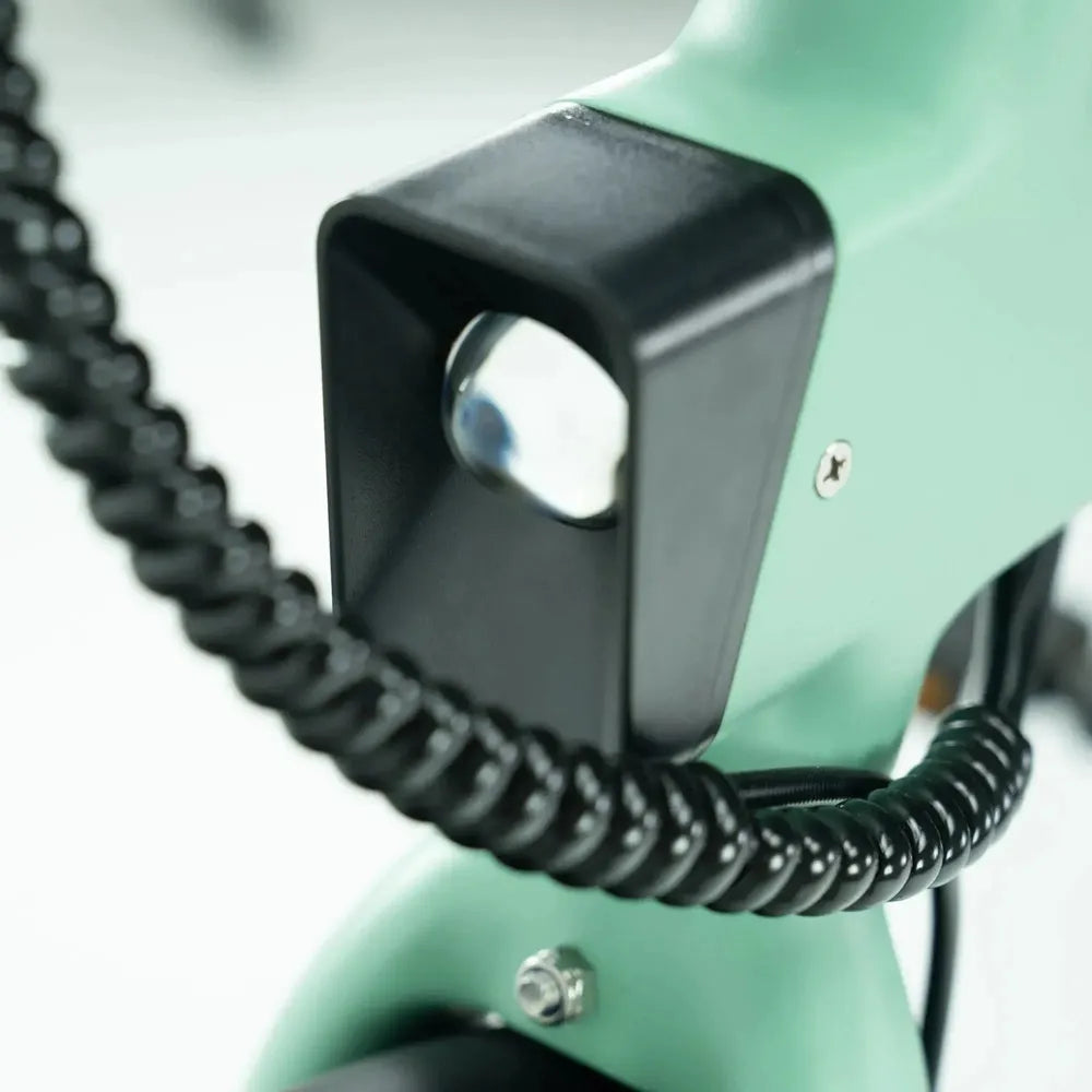 ENGWE P20 - Vélo électrique pliant - Vert