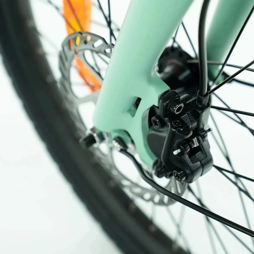 ENGWE P20 - Vélo électrique pliant - Vert