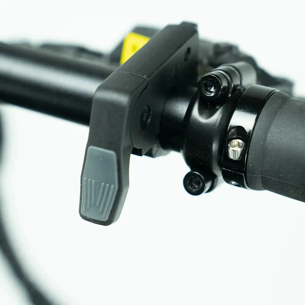 ENGWE P20 - Vélo électrique pliant - Vert