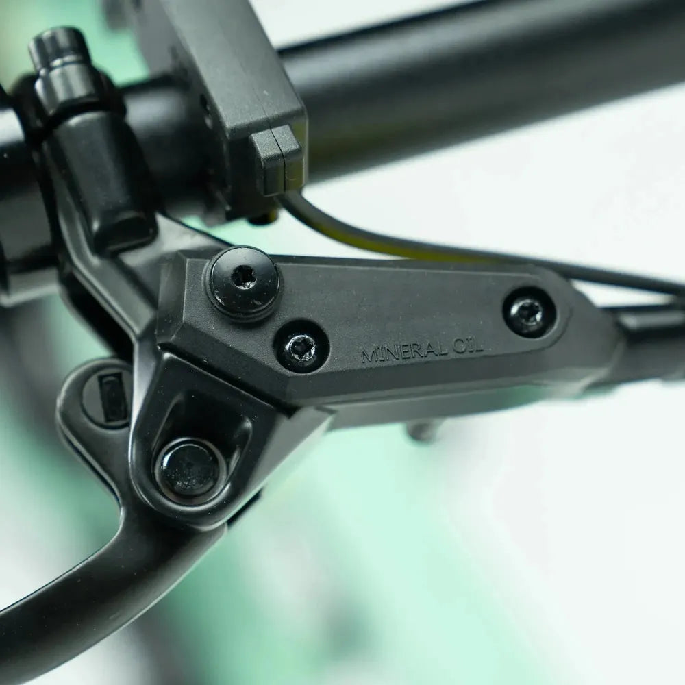 ENGWE P20 - Vélo électrique pliant - Vert