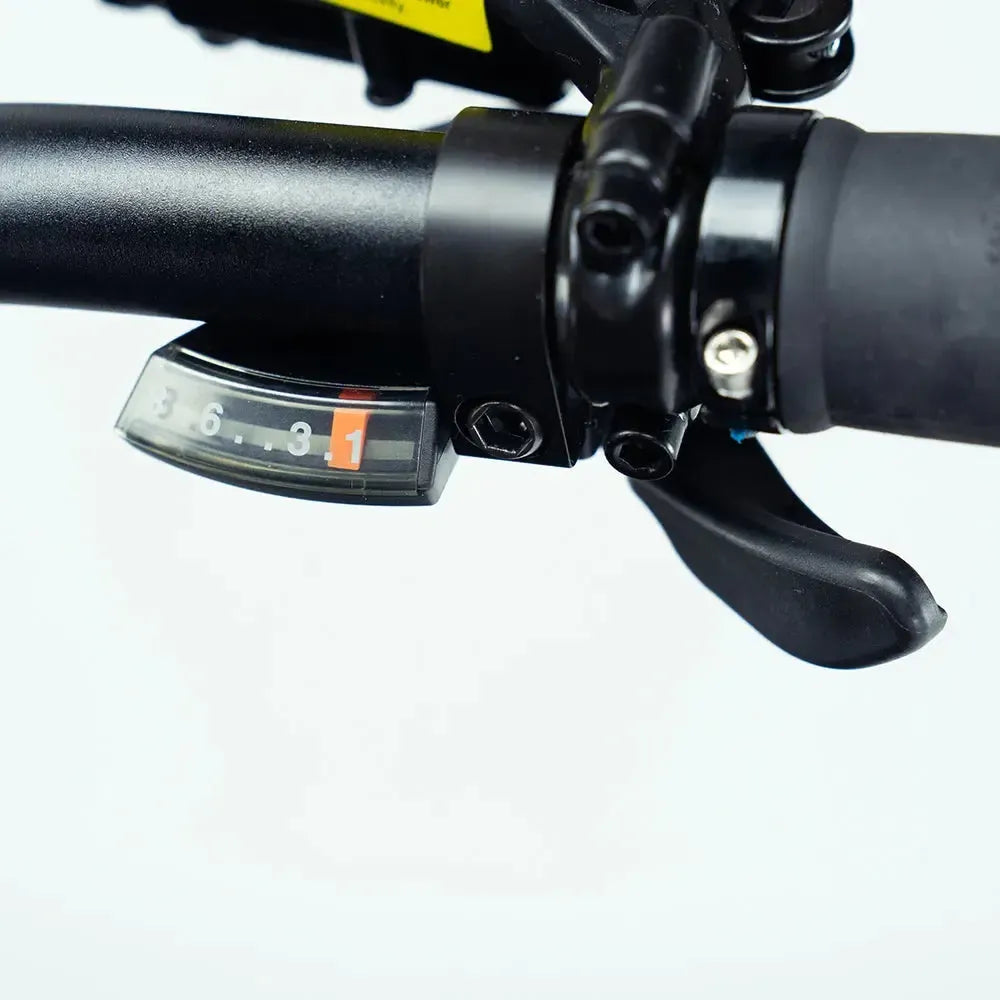 Engwe Engine Pro 2.0 - Vélo électrique pliant - Noir