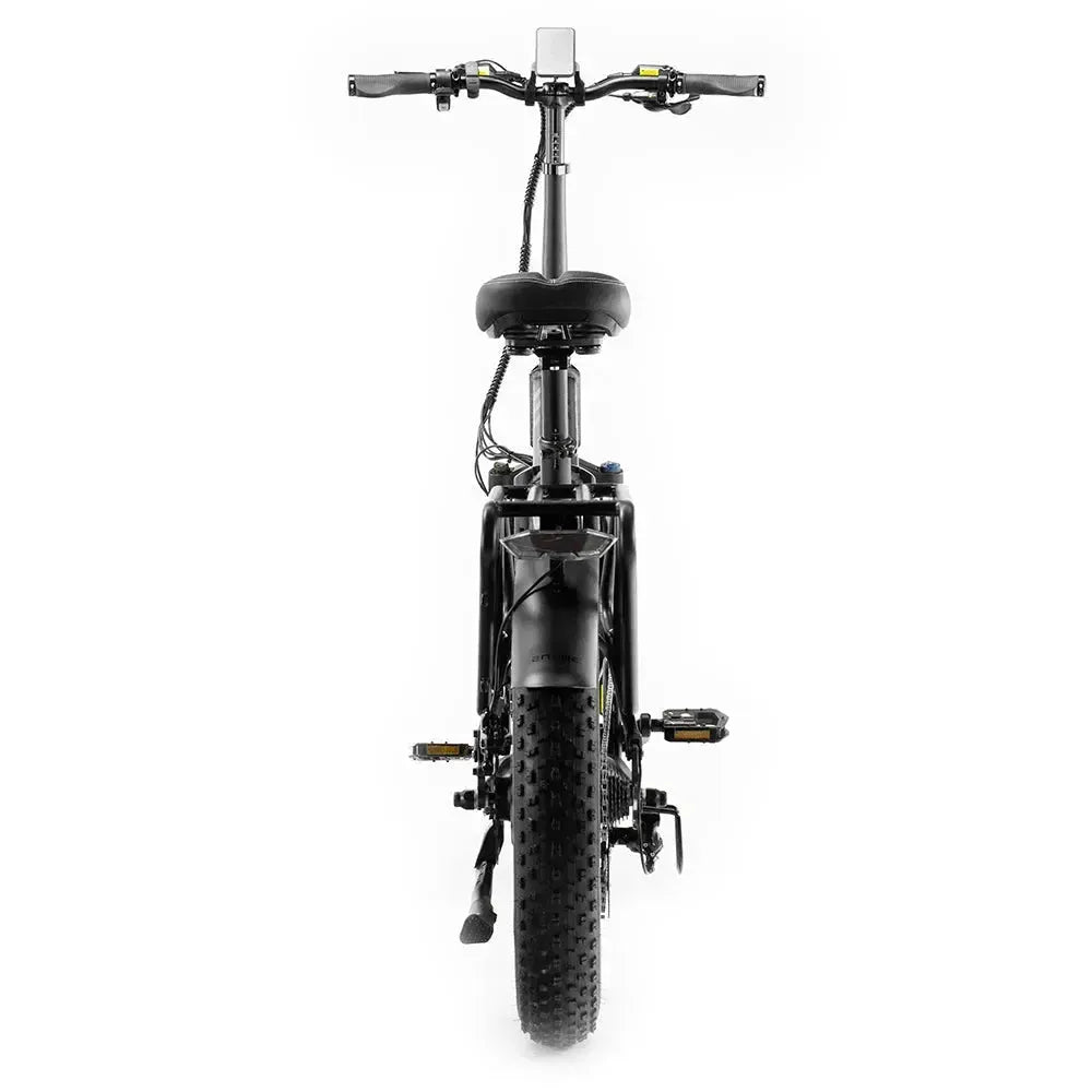 Engwe Engine Pro 2.0 - Vélo électrique pliant - Noir
