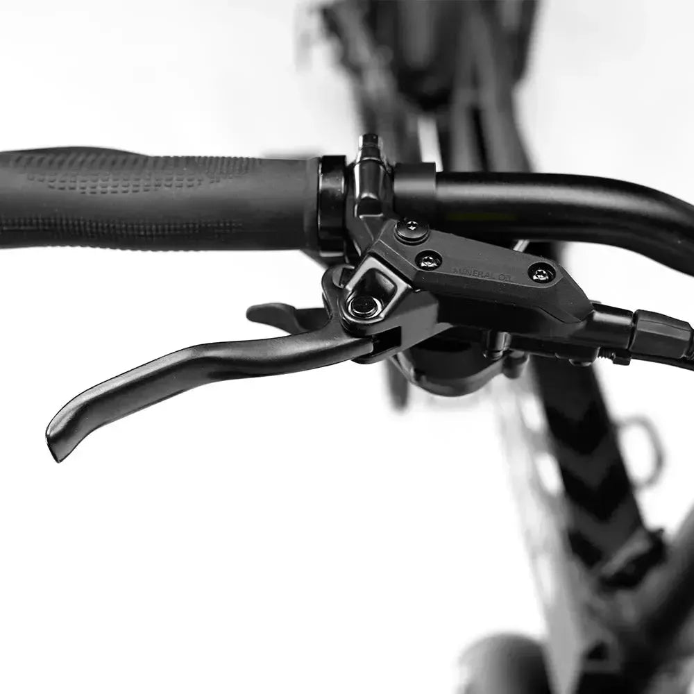 Engwe Engine Pro 2.0 - Vélo électrique pliant - Noir
