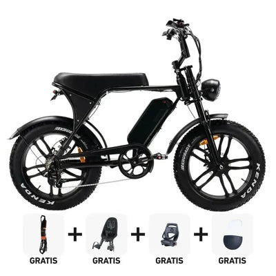Fatbikes familiaux